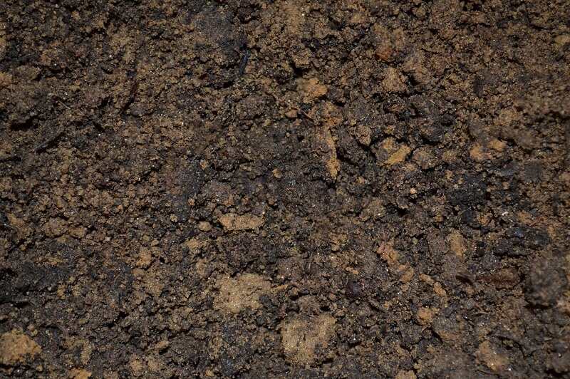 soil