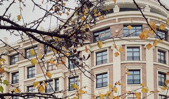 look-alike-sycamore-tree-with-a-building