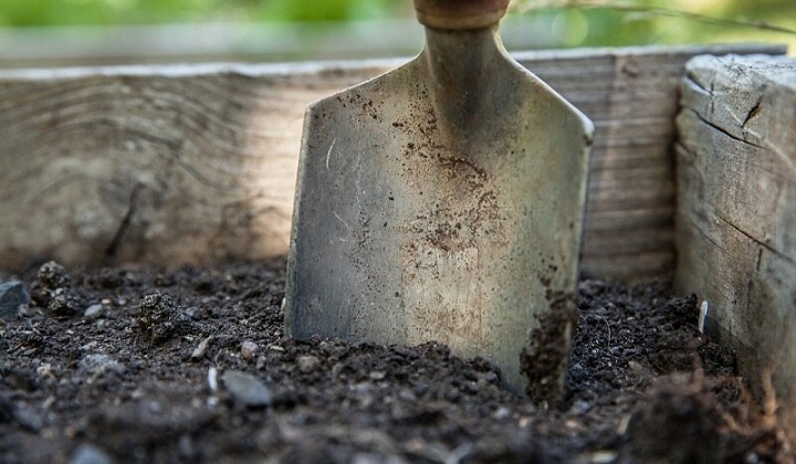 shovel-in-soil